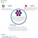 대전광역시 유성구청 티스토리