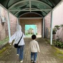 감귤박물관 위 이미지