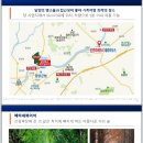 테라하우스 이미지