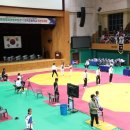 금빛태권도 이미지