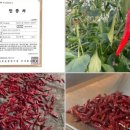 찬우농장 이미지