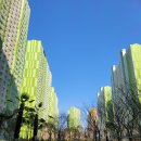 월영동286 | 창원 월영마린애시앙 후기