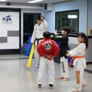 용인대 명품태권도장 이미지