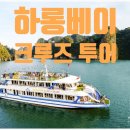 유동 광주은행 북부지점 | 베트남 하롱베이 크루즈 투어 추천: 하노이 출발, 일일투어, 카약, 보트 체험, 동굴 탐험