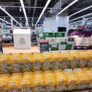 다사파피루스 | [이집트 11박 13일 후기] 여자 둘, 자유여행, 뚜벅이 (3탄: 쇼핑 리스트)