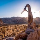 826 PT GYM 이미지