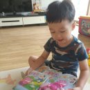 리틀램어린이집 | [키즈위드] 리틀램동물농장 체험후기