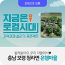 청라면옥계1리마을회관 | 보령 귀농귀촌 프로젝트] 지금은 로컬시대 5화 함께 살아요. 우리 마을에서 - 충남 보령 청라면 은행마을편