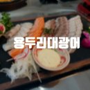 용두리대광어