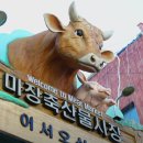 순자집 이미지