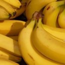 해바라기안경원 이미지