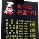 불타는돈갈매기 이미지