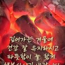 12월21일 뉴스브리핑 이미지