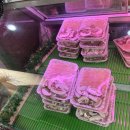 보성만나식당 이미지