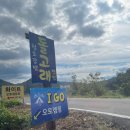 경북 청도｜I GO 아이고오토캠핑장 파쇄석 3번 후기 (노키즈존/반려동물동반가능)