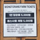 초록목장 | [강원 태백] 몽토랑산양목장 - 자연 속 산양목장 체험, 힐링 태백여행코스 가족여행 추천!!