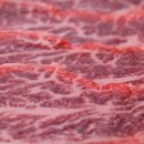 진사 축산 이미지