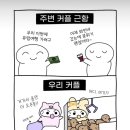 오창현대카 | 💙 1000