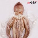 문어야 이미지