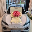 샤크플러스 티스토리