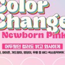 스칼프디자인센터 홍대점 이미지