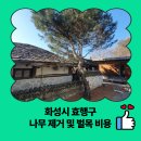 화성시 효행구 나무 제거 및 벌목 비용
