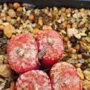 스테이너와 이미지