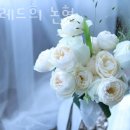 라포레드희논현