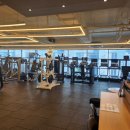 마일드짐 | 안산 중앙동 헬스장 헬린이가 다니기 적합한 마일드짐