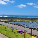 나의 제주집 이미지