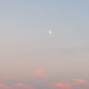 헤이븐(haven) 이미지