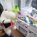 꿀잼 뽑기 이미지