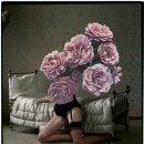 힐 스프링 이미지