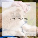 엠투피 상인점 이미지