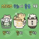 세종모터스 이미지
