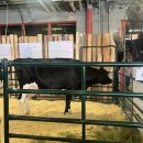 다연축사 이미지