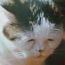 뽑아가세용 이미지