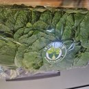 주식회사 플러스팜 이미지