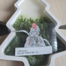 신정희춘천숯불닭갈비 이미지