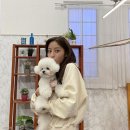 쪼식이