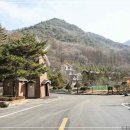 속리산알프스야영장 이미지