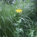 더 남산 이미지