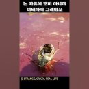 Re: 시공이 서로 조명(照明)한다. 이미지