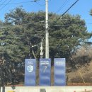 인필드(INFEELD) | 춘천 손흥민 카페 인필드 infeeld 내돈내산 후기