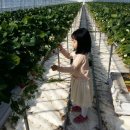 채은농장 이미지