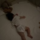 에코쿨잠 네이버블로그