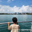 패밀리앤퍼피 | 싱가포르 최대 장난감가게 토이저러스 in Vivo city