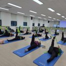 태백 태백시건강생활지원센터 강원일보