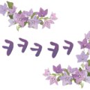 컴퓨레이터
