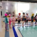 리틀아쿠아파크 이미지